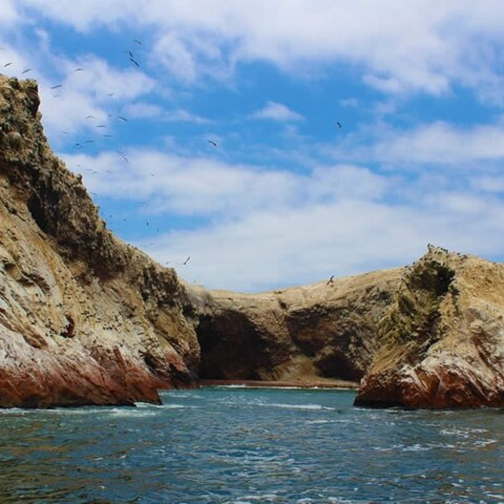 Tour Islas Ballestas desde Ica