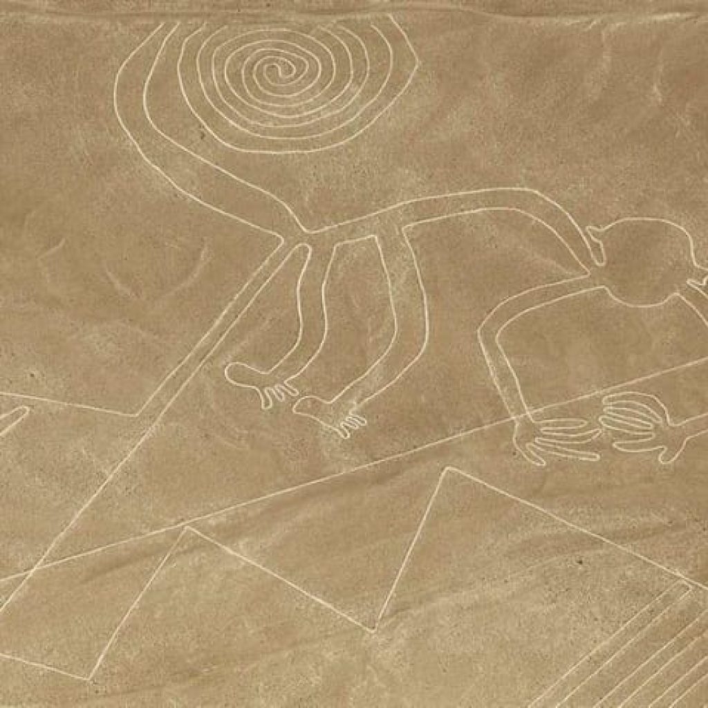 Sobrevuelo las Líneas de Nazca + Huacachina desde Paracas