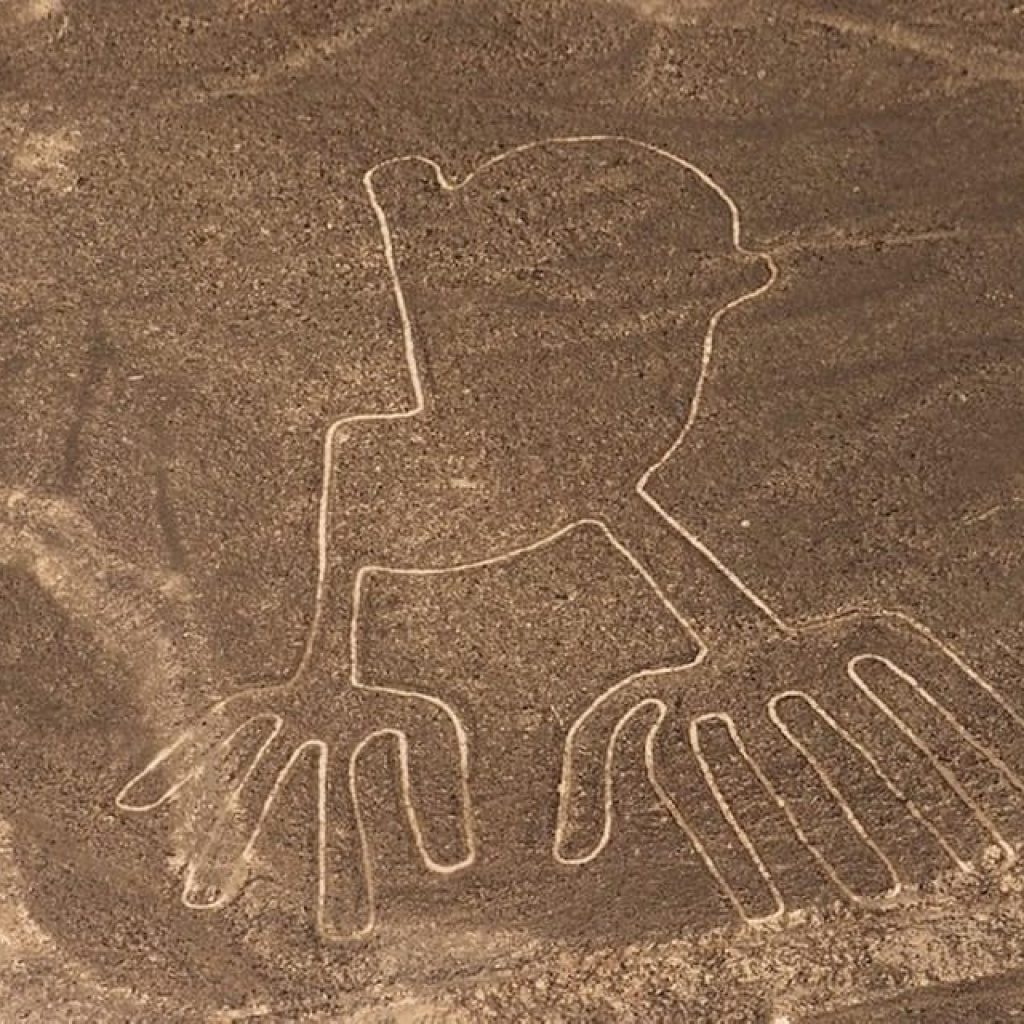 Sobrevuelo las Líneas de Nazca + Museo Maria Reiche + Mirador de Palpa
