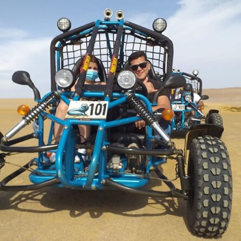 Tour Islas Ballestas + Mini Buggy por la Reserva Nacional de Paracas desde Ica