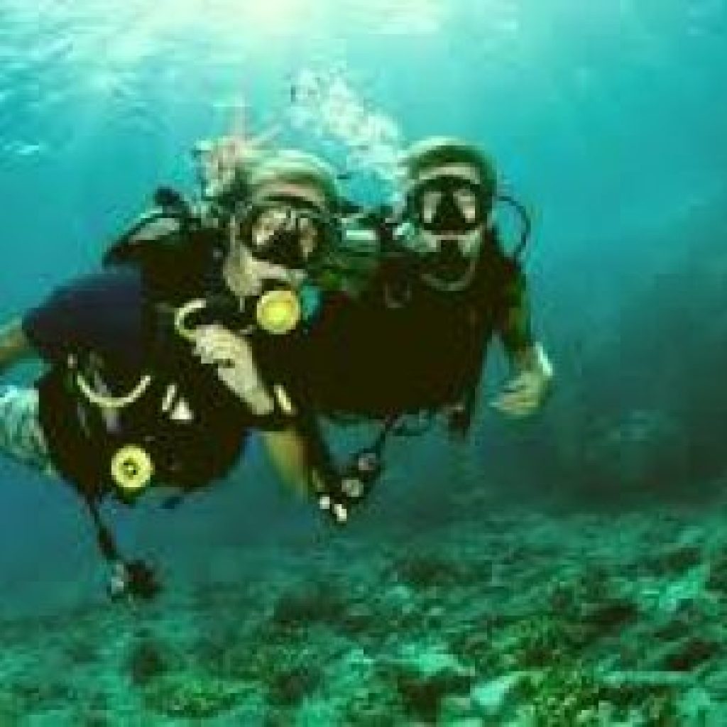 Buceo en la Reserva Nacional de Paracas