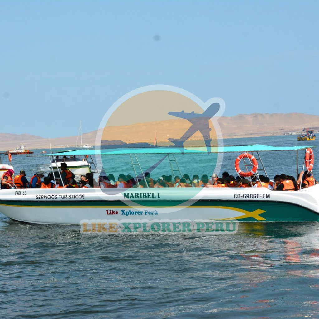Tour Islas Ballestas desde Ica