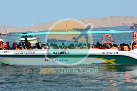 Tour Islas Ballestas Privado
