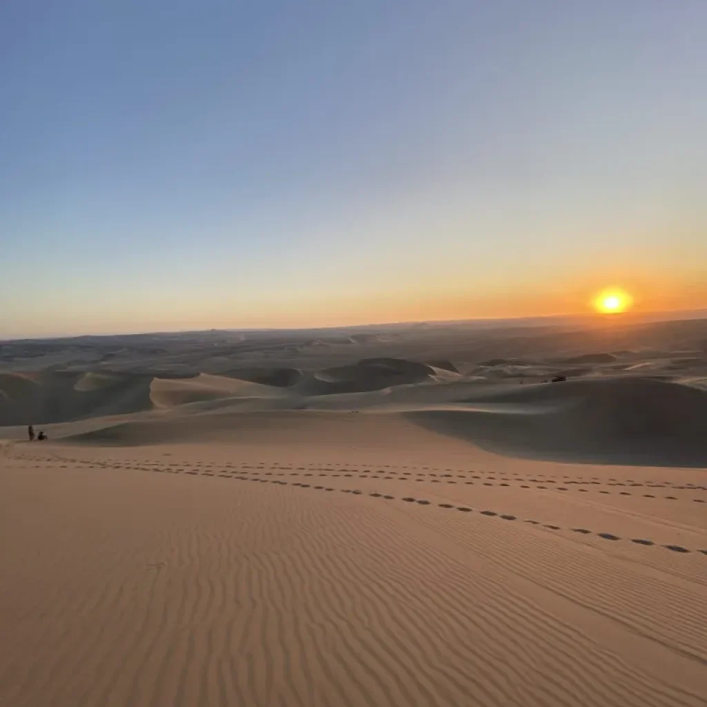 Brindis en el Desierto