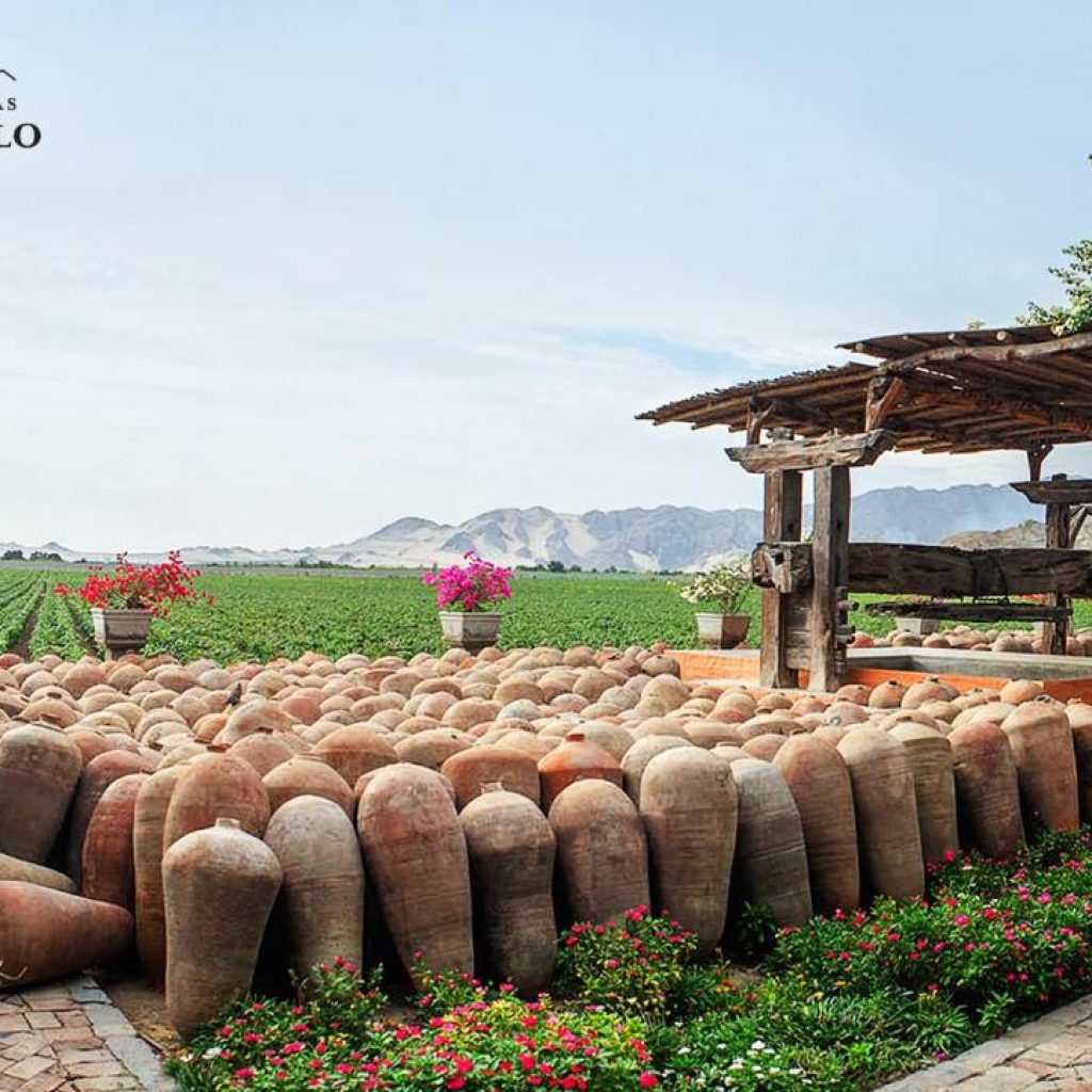 Ruta del Pisco Industrial: Tacama, La Caravedo y Viñas Queirolo