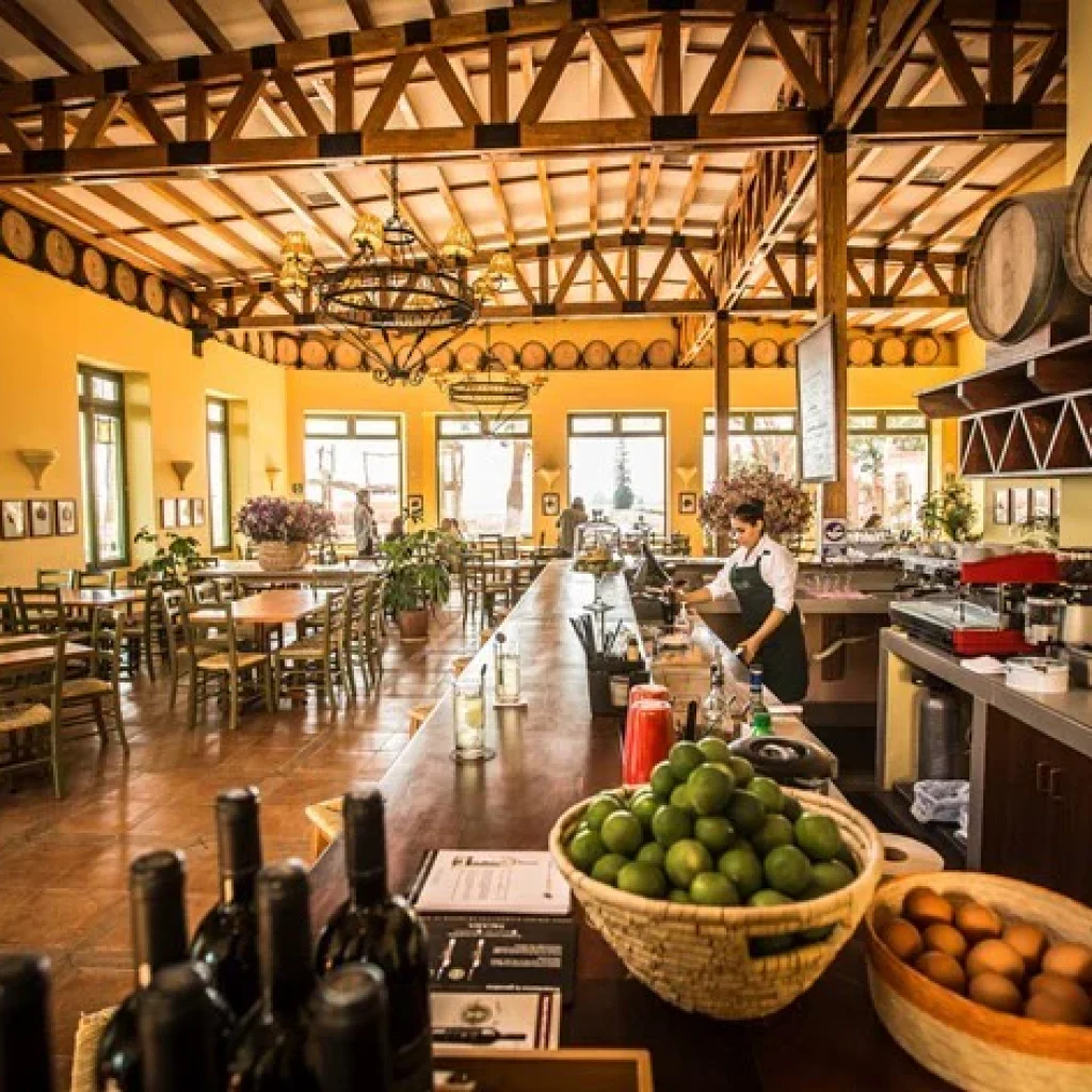 Ruta Del Pisco Semi Industrial: CulturPisco, Tacama y La Caravedo