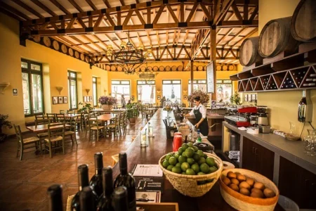 Ruta Del Pisco Semi Industrial: CulturPisco, Tacama y La Caravedo