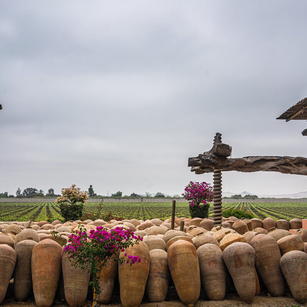 Ruta Del Pisco Semi Industrial: CulturPisco, Tacama y La Caravedo