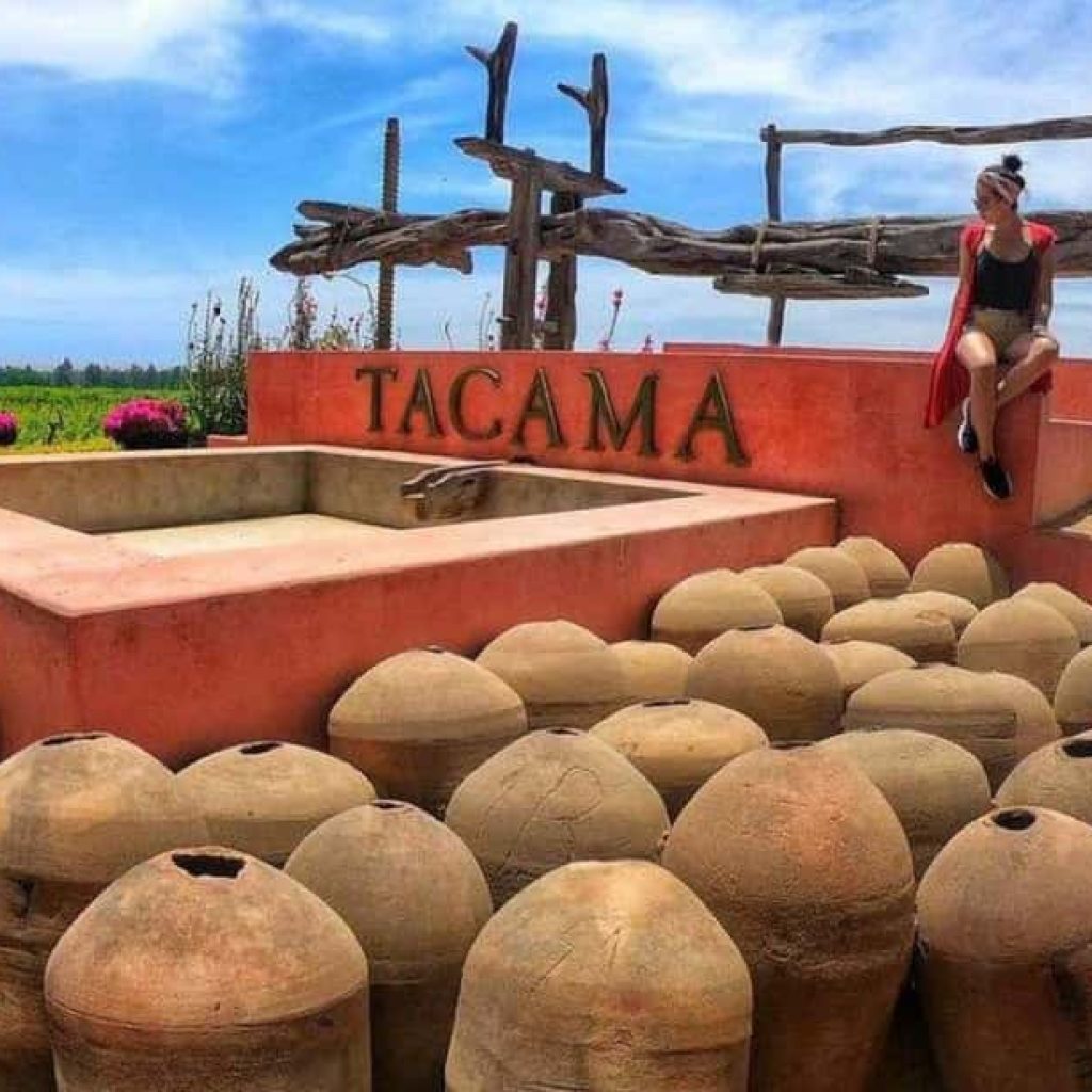 Ruta Del Pisco Semi Industrial: CulturPisco, Tacama y La Caravedo