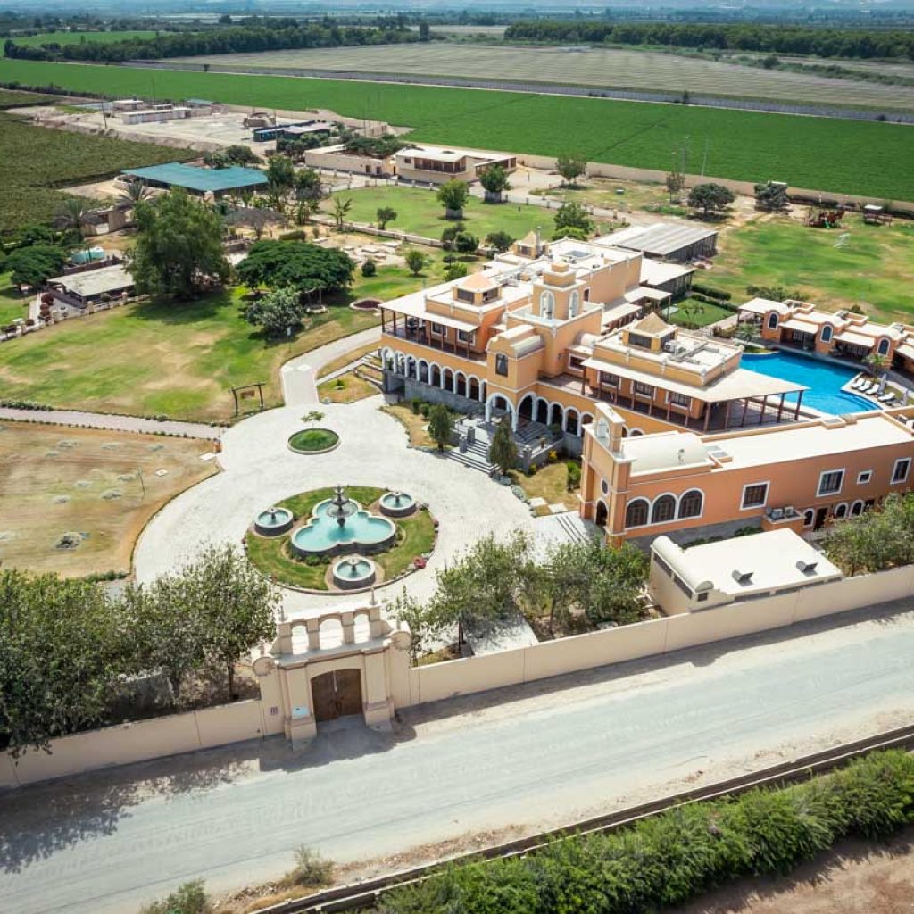 Ruta del Pisco Industrial: Tacama, La Caravedo y Viñas Queirolo