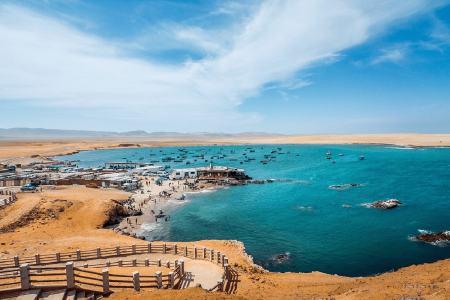 Full Day Paracas
