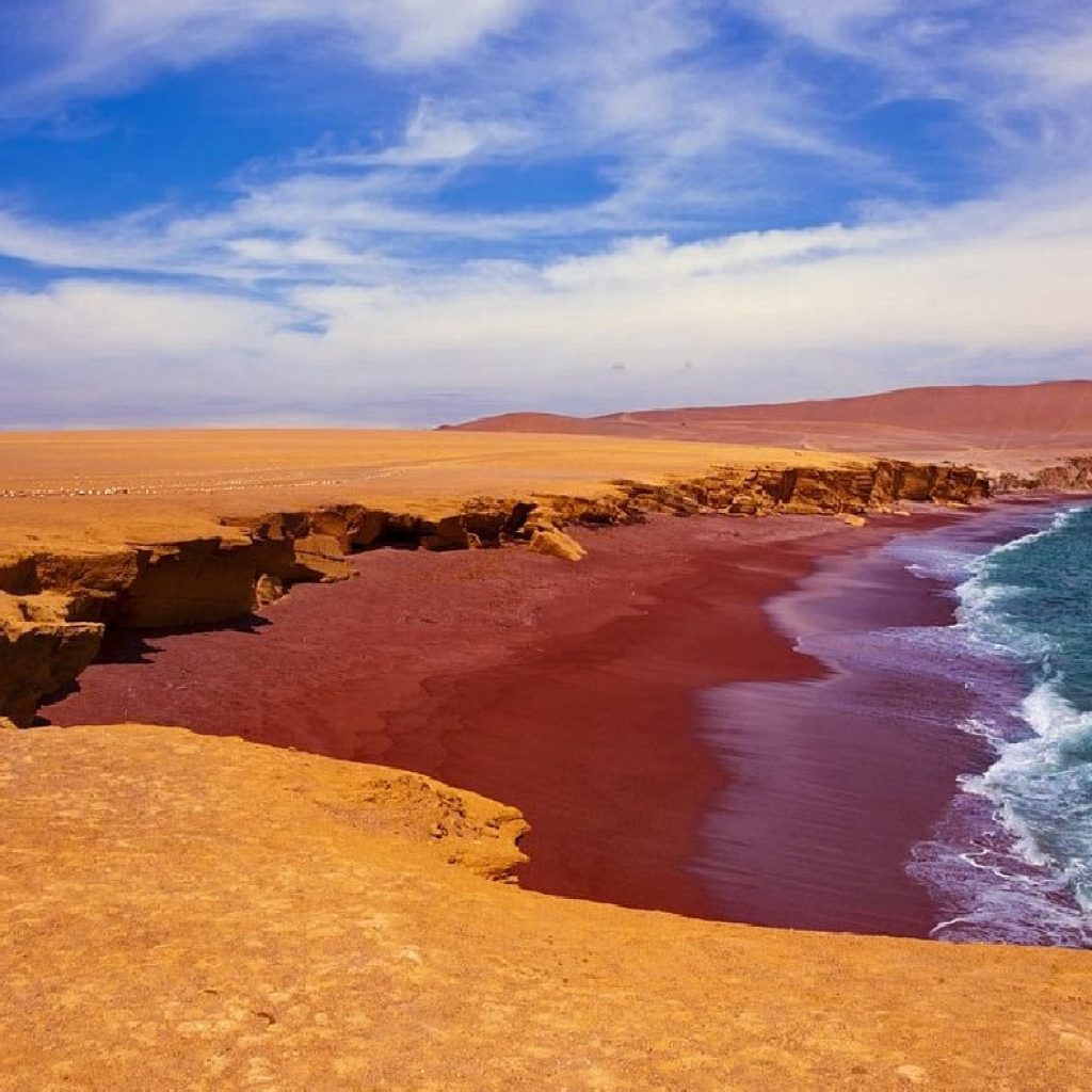 Tour Islas Ballestas + Reserva Nacional de Paracas + Bodega Tacama+ Tubular y sandboarding en Huacachina (2 días / 1noche)
