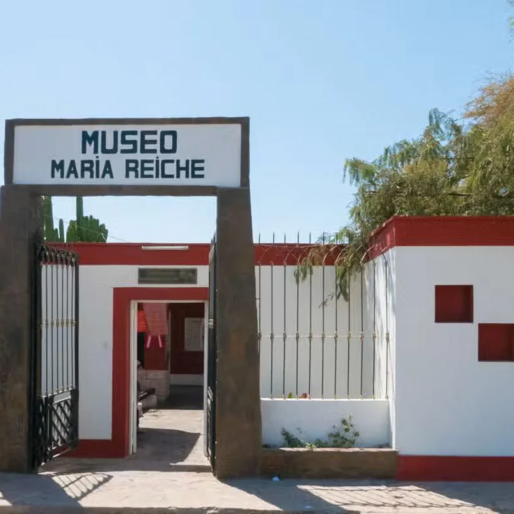 Sobrevuelo las Líneas de Nazca + Museo Maria Reiche + Mirador de Palpa