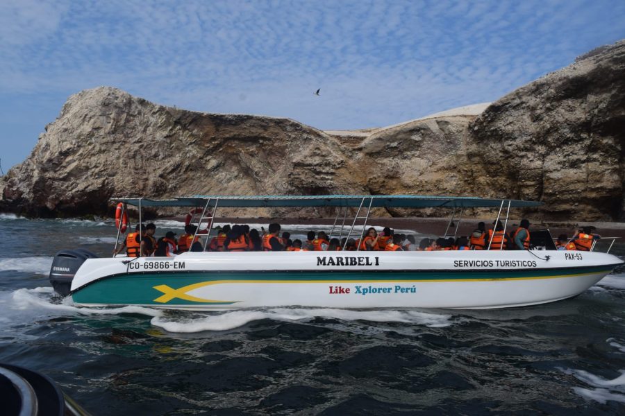 Tour Islas Ballestas
