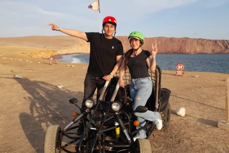 Tour Islas Ballestas + Mini Buggy por la Reserva Nacional de Paracas desde Ica