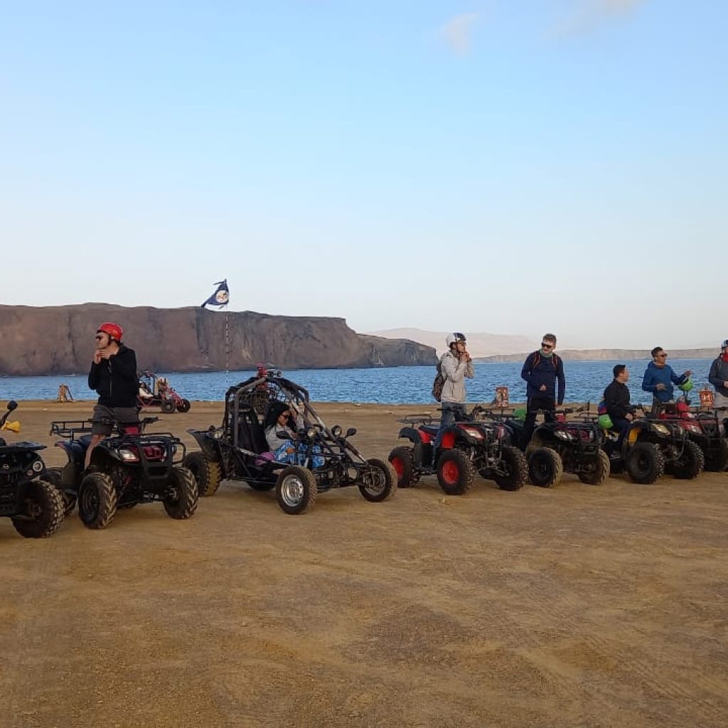 Tour Islas Ballestas + Cuatrimoto