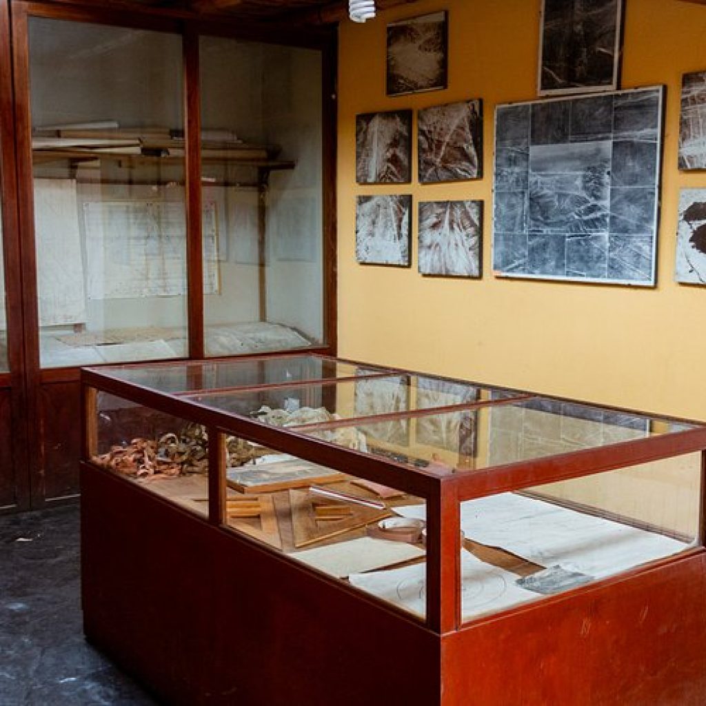 Sobrevuelo las Líneas de Nazca + Museo Maria Reiche + Mirador de Palpa