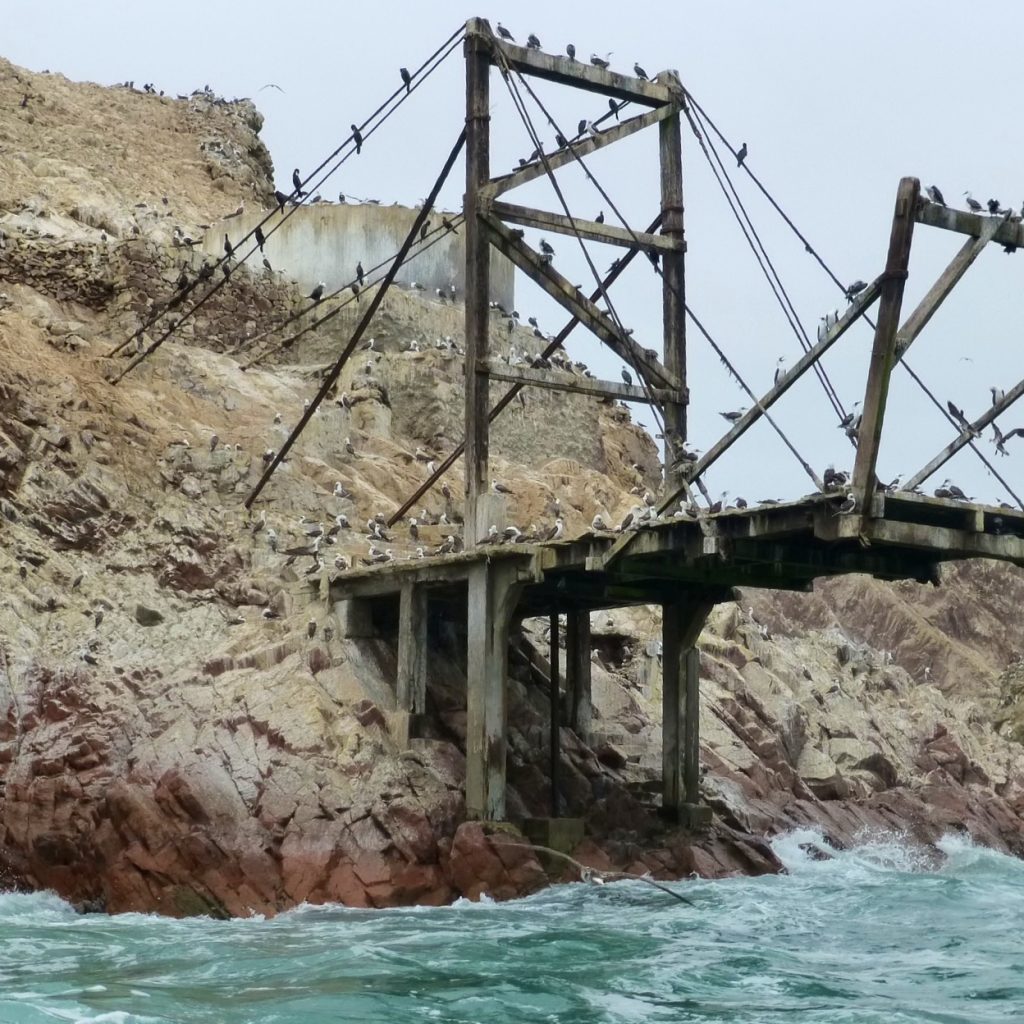 Tour Islas Ballestas – Líneas de Nazca desde Pisco