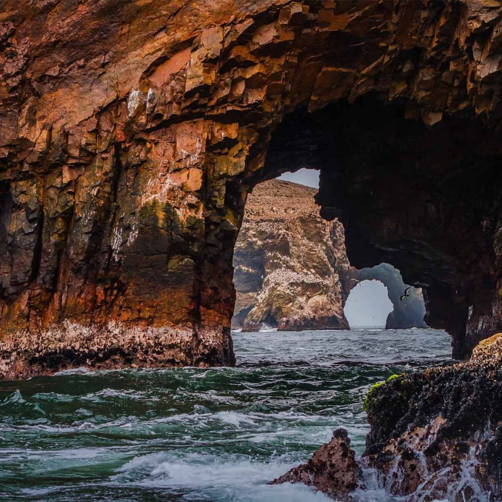 Tour Islas Ballestas + Mini Buggy por la Reserva Nacional de Paracas desde Ica