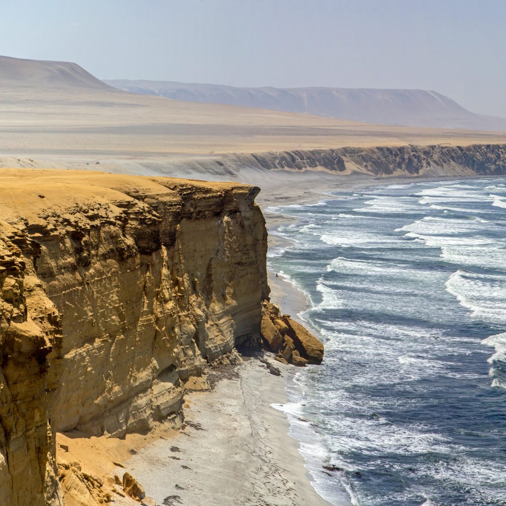 Full Day Paracas – Ica económico desde Lima