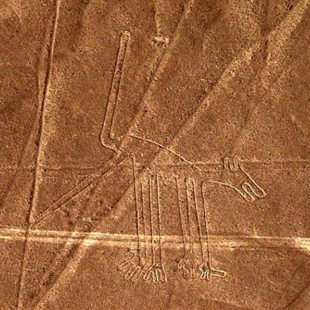 Sobrevuelo a las líneas de Nazca y Palpa desde Nazca