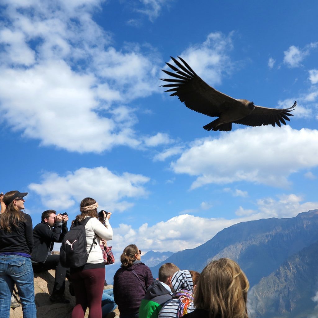 Colca 2D/1N Vivencial Todo Incluido