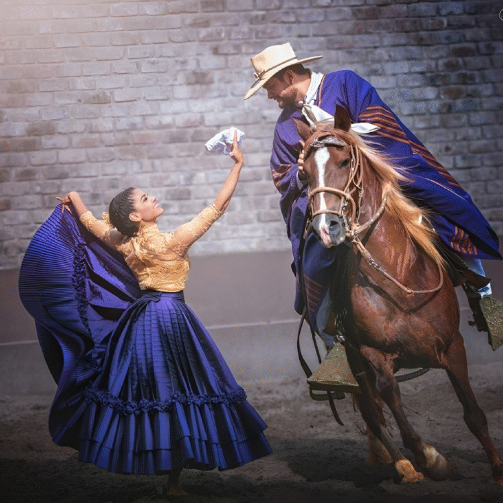 Circuito mágico del agua + Cena Show y Caballos de Paso.