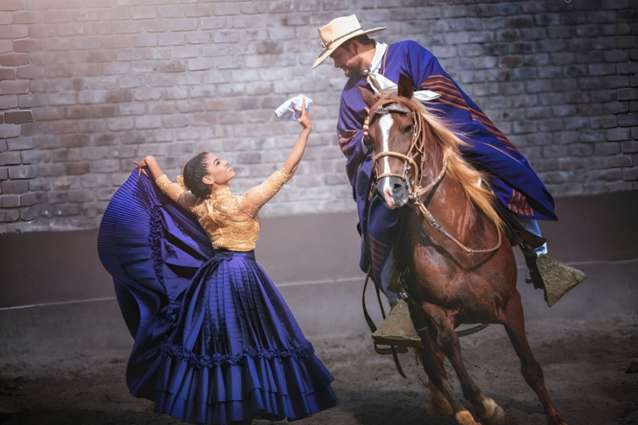 Circuito mágico del agua + Cena Show y Caballos de Paso.