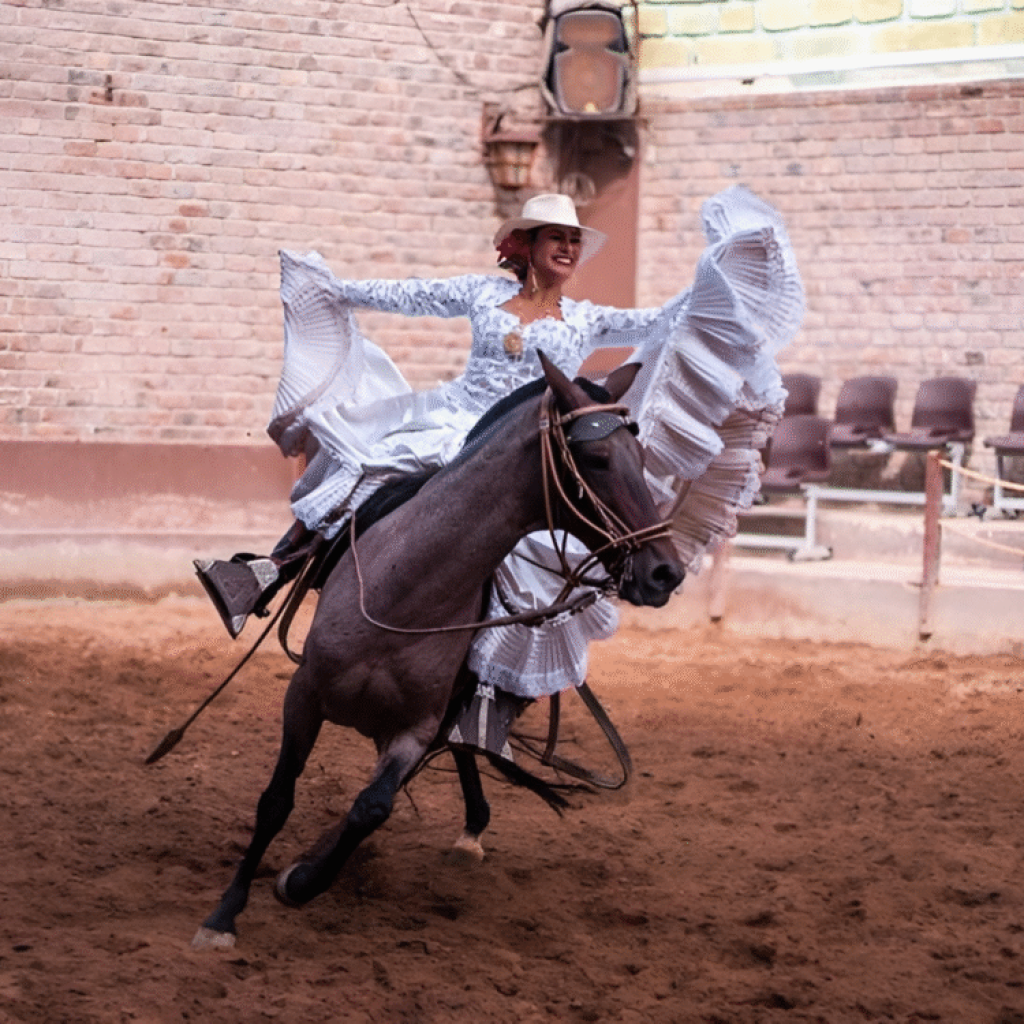 Almuerzo Buffet Show de Caballos de Paso