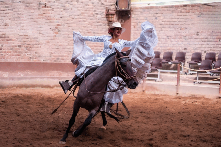 Almuerzo Buffet Show de Caballos de Paso