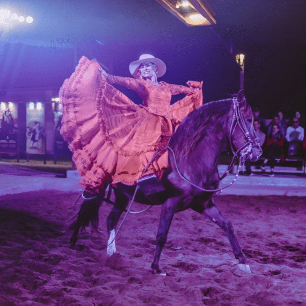 Circuito mágico del agua + Cena Show y Caballos de Paso.