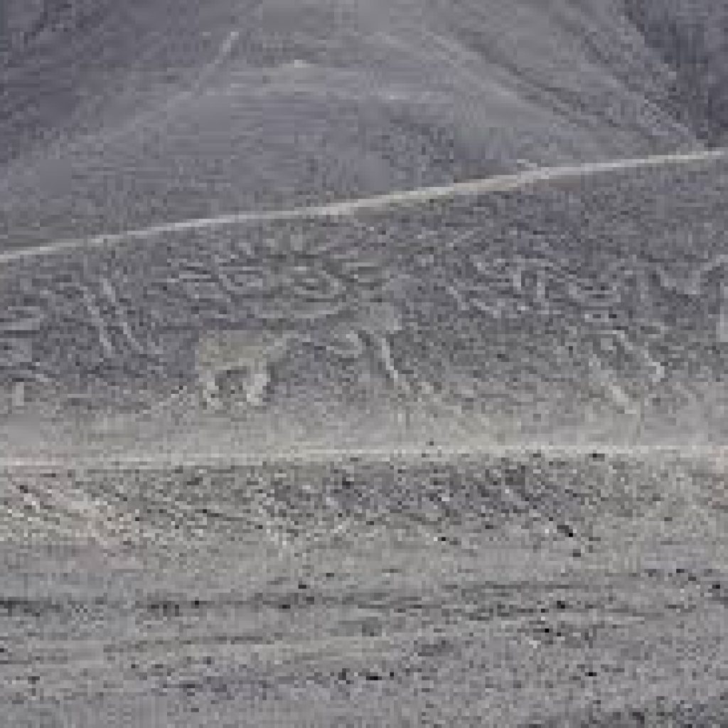 Tour terrestre por las líneas Nazca y Palpa