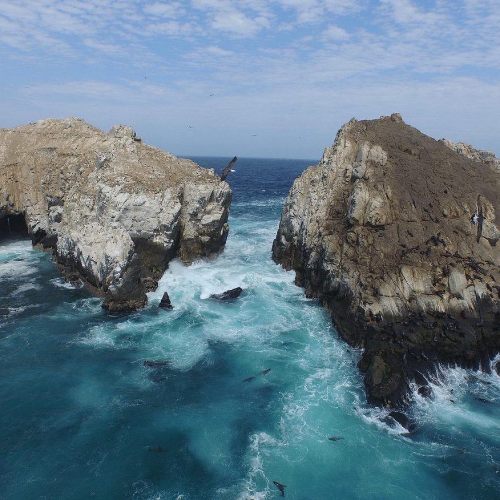Tour Islas Palomino – Nada con Lobos Marinos Incluido Ingresos Turísticos
