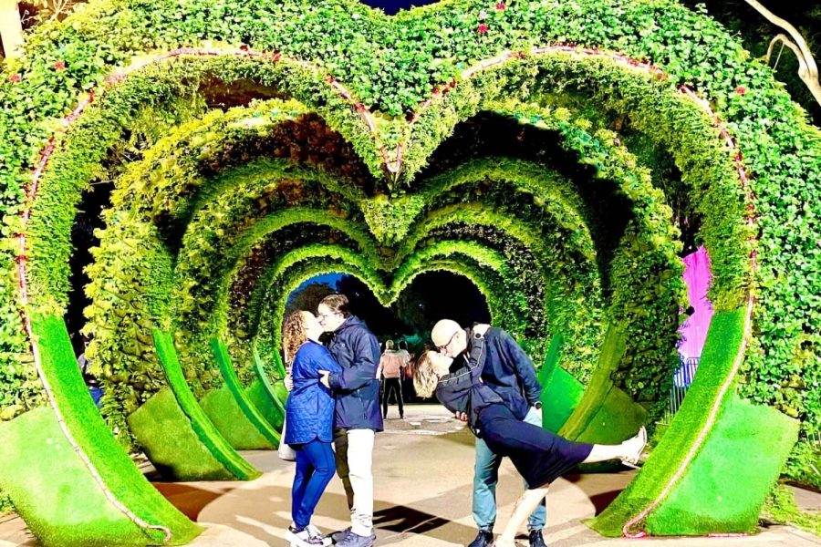 Circuito mágico del agua