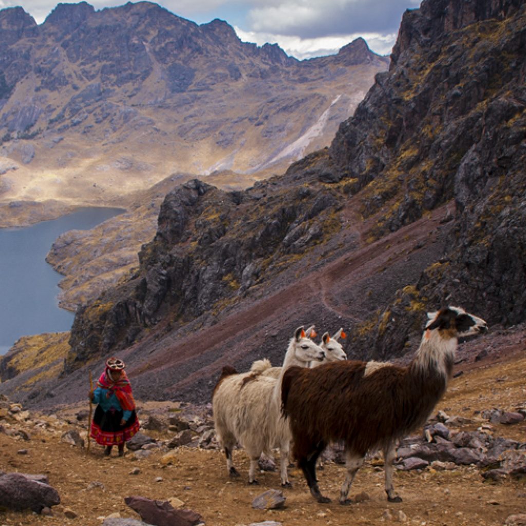 Explora Cusco y Lares: Caminata Ancestral en los Andes 8 días / 7 noches
