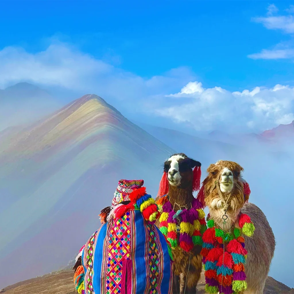 Tour de Día Completo a la Montaña de 7 Colores con guía local y todo incluido